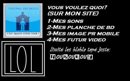 VOTEZ NOMBREUX-LANCEMENT DES NEWS PREVUS LE 14 MARS 2008
